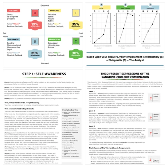 DISC Strengths Assessment Results.